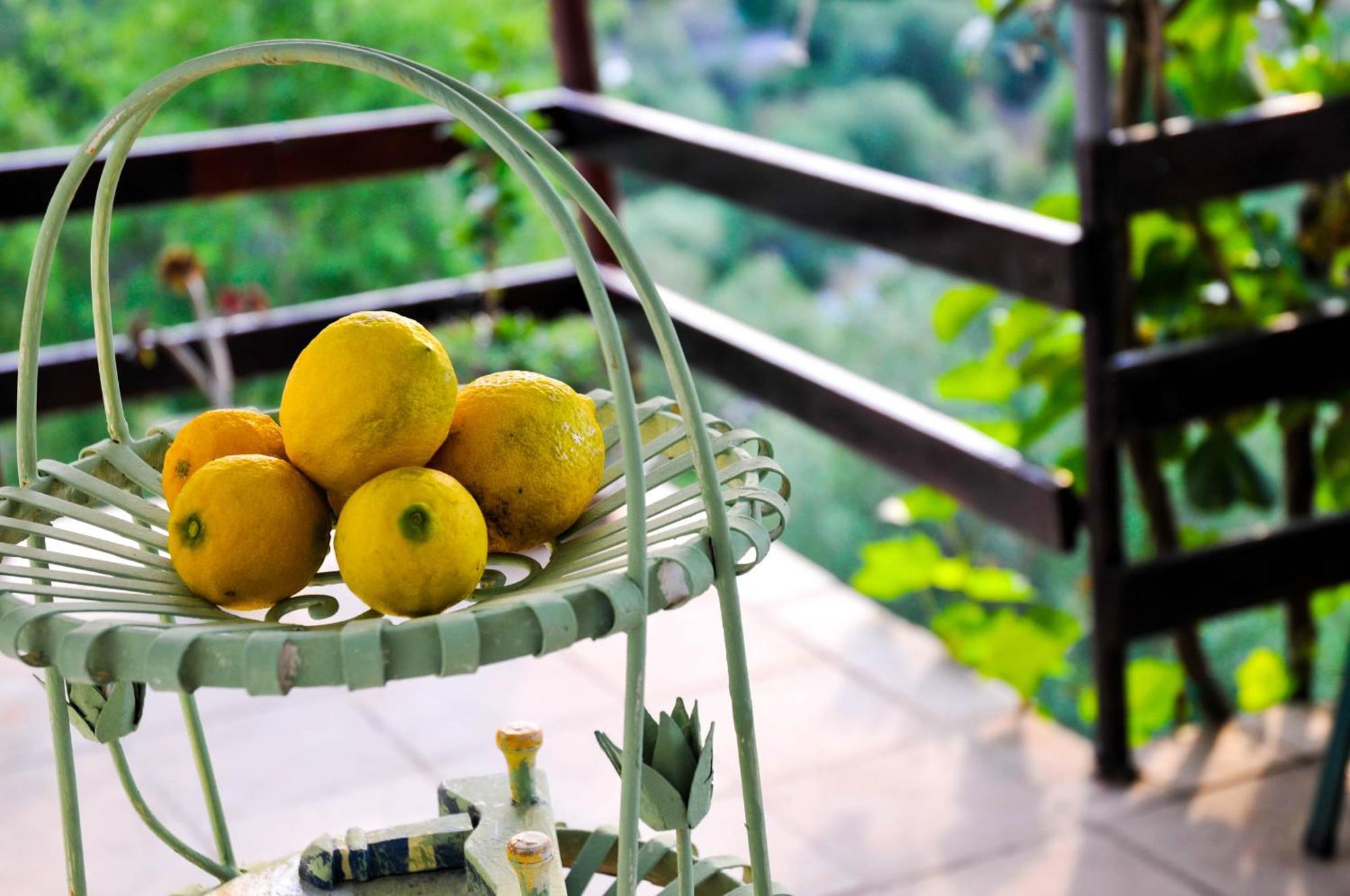 Dubrava  Bellavista Peljesac Peninsula Bed & Breakfast 部屋 写真