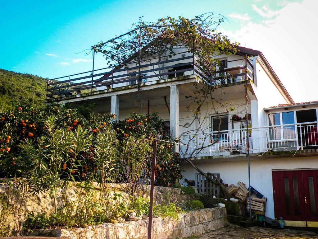 Dubrava  Bellavista Peljesac Peninsula Bed & Breakfast 部屋 写真
