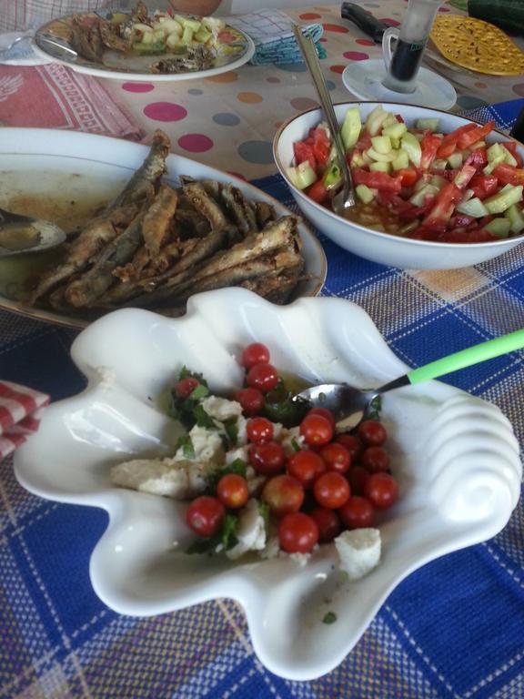 Dubrava  Bellavista Peljesac Peninsula Bed & Breakfast エクステリア 写真